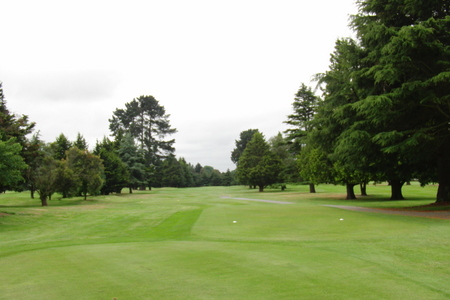 �j���[�W�[�����h�̃S���t��