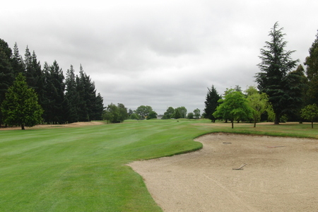 �j���[�W�[�����h�̃S���t��