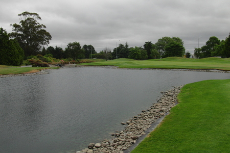 �j���[�W�[�����h�̃S���t��