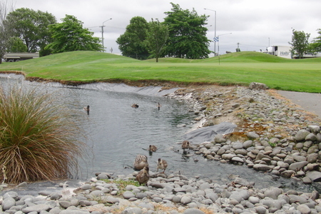 �j���[�W�[�����h�̃S���t��