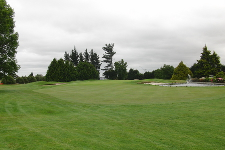 �j���[�W�[�����h�̃S���t��