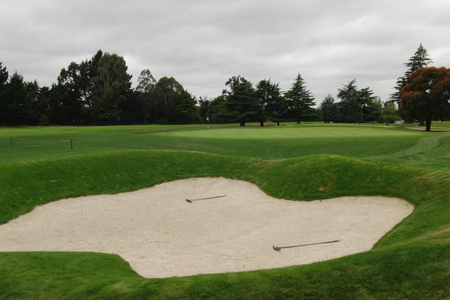 �j���[�W�[�����h�̃S���t��