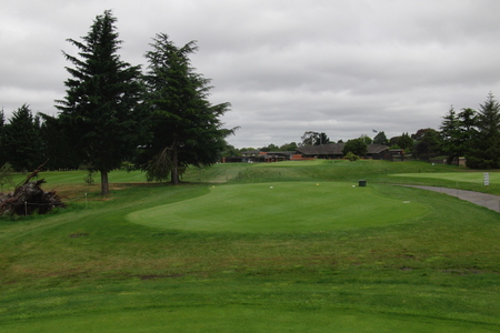 �j���[�W�[�����h�̃S���t��