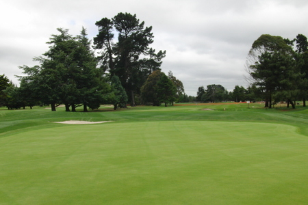 �j���[�W�[�����h�̃S���t��