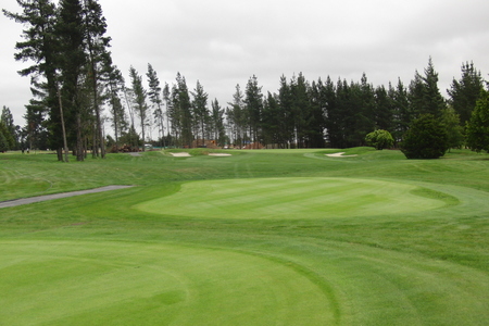 �j���[�W�[�����h�̃S���t��