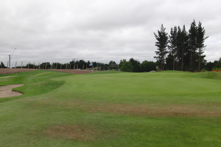 �j���[�W�[�����h�̃S���t��