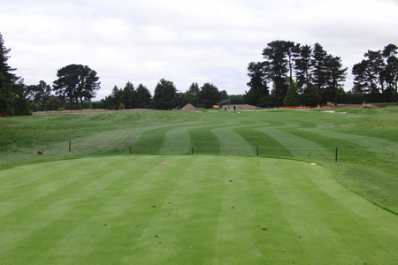 �j���[�W�[�����h�̃S���t��