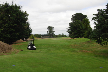 �j���[�W�[�����h�̃S���t��