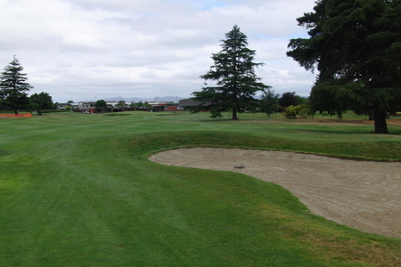 �j���[�W�[�����h�̃S���t��