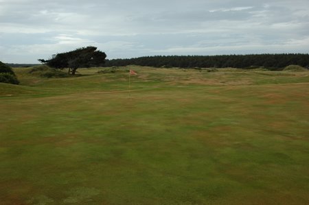 �j���[�W�[�����h�̃S���t��