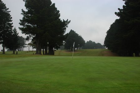 �j���[�W�[�����h�̃S���t��