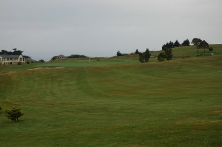 �j���[�W�[�����h�̃S���t��