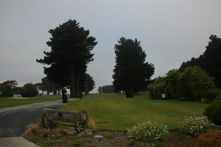 �j���[�W�[�����h�̃S���t��