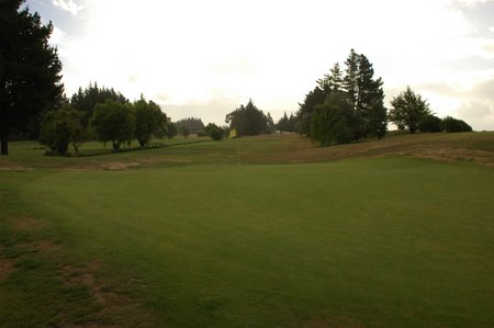 �j���[�W�[�����h�̃S���t��