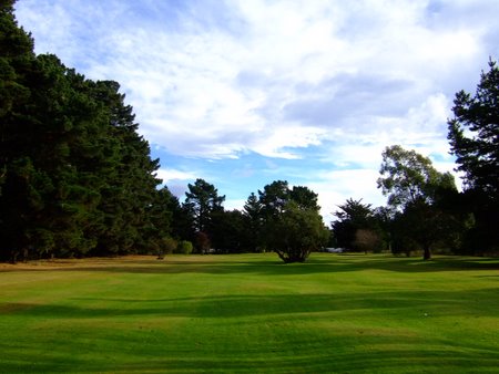 �j���[�W�[�����h�̃S���t��