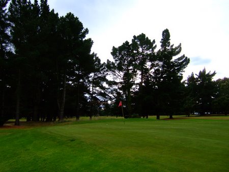 �j���[�W�[�����h�̃S���t��