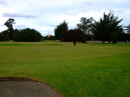 �j���[�W�[�����h�̃S���t��