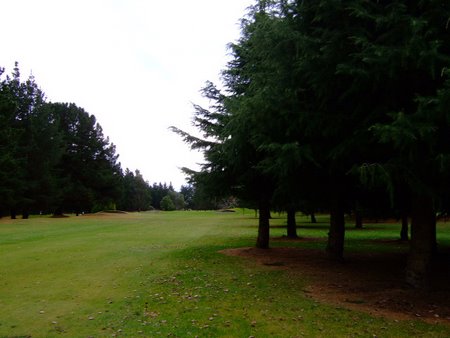 �j���[�W�[�����h�̃S���t��