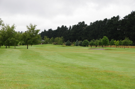 �e���X�_�E���Y �S���t�� �j���[�W�[�����h