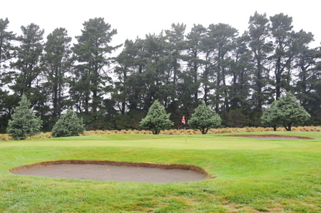 �e���X�_�E���Y �S���t�� �j���[�W�[�����h