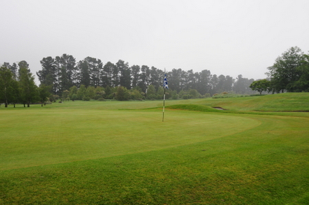 �e���X�_�E���Y �S���t�� �j���[�W�[�����h