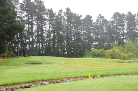 �e���X�_�E���Y �S���t�� �j���[�W�[�����h