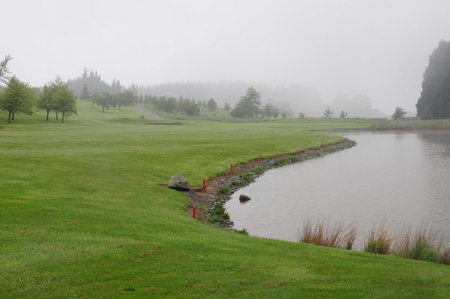 �e���X�_�E���Y �S���t�� �j���[�W�[�����h