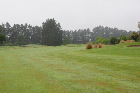 �e���X�_�E���Y �S���t�� �j���[�W�[�����h