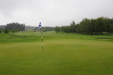 �e���X�_�E���Y �S���t�� �j���[�W�[�����h