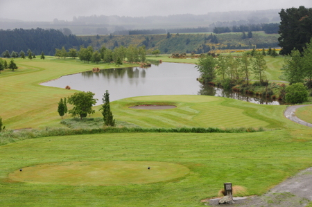 �e���X�_�E���Y �S���t�� �j���[�W�[�����h