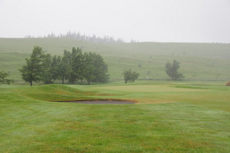 �e���X�_�E���Y �S���t�� �j���[�W�[�����h