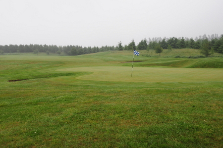 �e���X�_�E���Y �S���t�� �j���[�W�[�����h