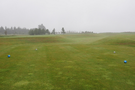 �e���X�_�E���Y �S���t�� �j���[�W�[�����h