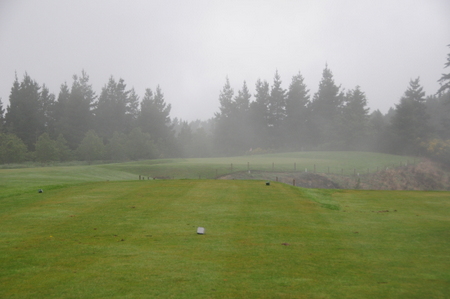 �e���X�_�E���Y �S���t�� �j���[�W�[�����h