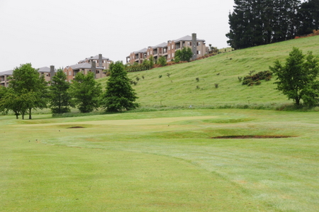 �e���X�_�E���Y �S���t�� �j���[�W�[�����h