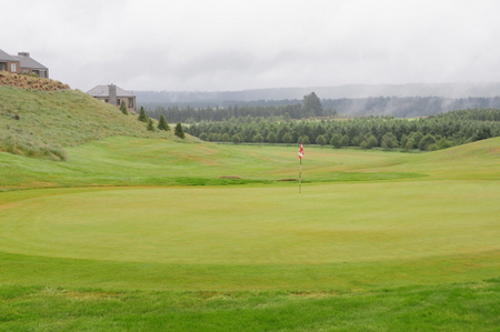 �e���X�_�E���Y �S���t�� �j���[�W�[�����h