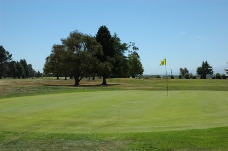 �j���[�W�[�����h�̃S���t��