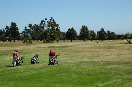 �j���[�W�[�����h�̃S���t��