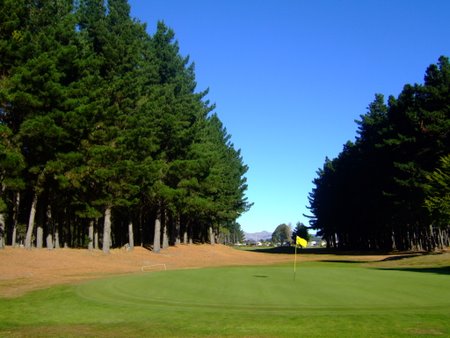 �j���[�W�[�����h�̃S���t��