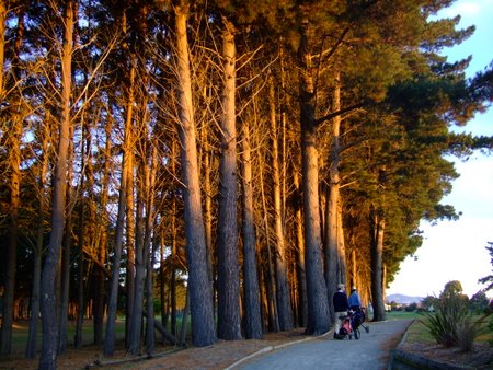 �j���[�W�[�����h�̃S���t��