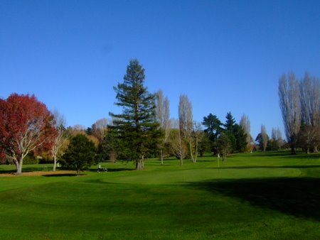 �j���[�W�[�����h�̃S���t��