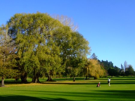 �j���[�W�[�����h�̃S���t��