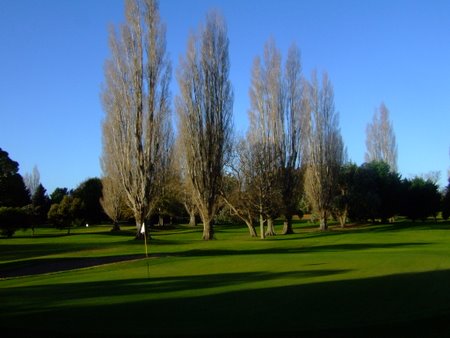 �j���[�W�[�����h�̃S���t��