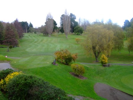 �j���[�W�[�����h�̃S���t��