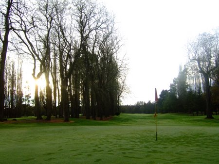 �j���[�W�[�����h�̃S���t��